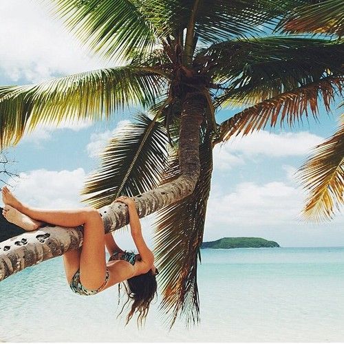 И за пальмой, и под пальмой...