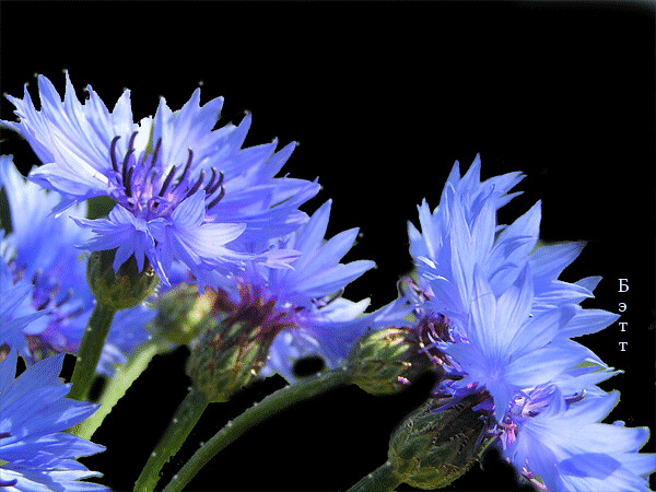 Озёрный край