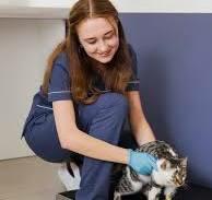 Мамины мечты