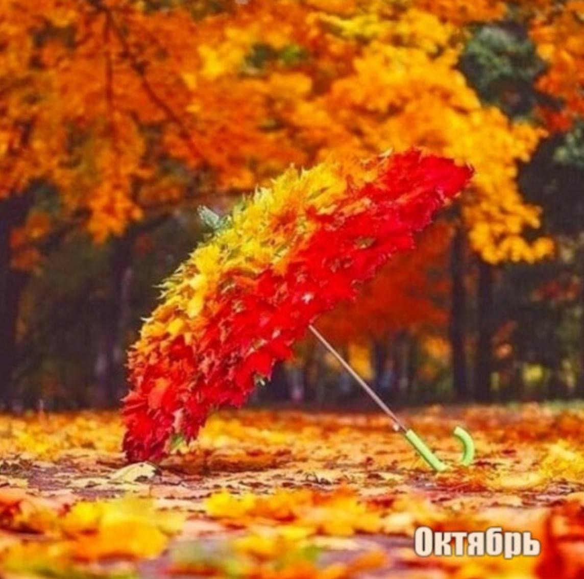 А дальше что?