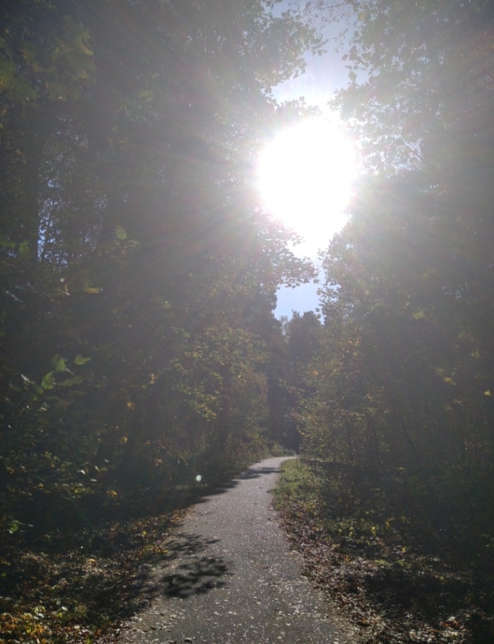 Тропой утраченной радости