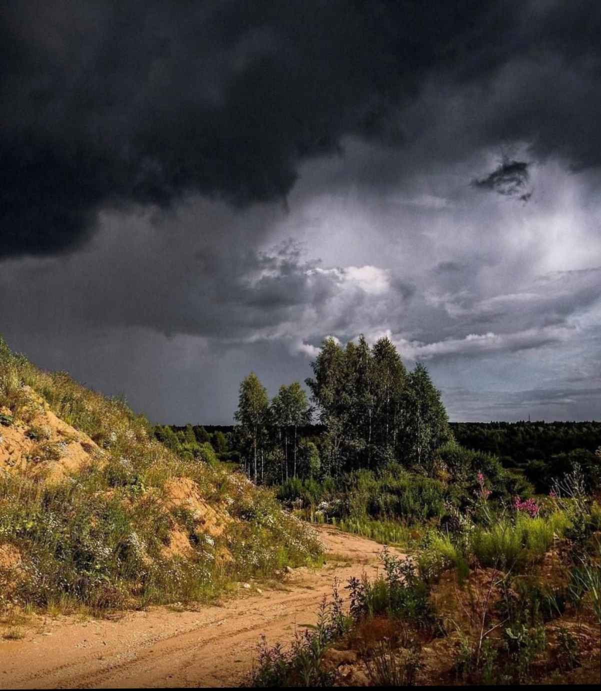 Непогодой осень пригрозила