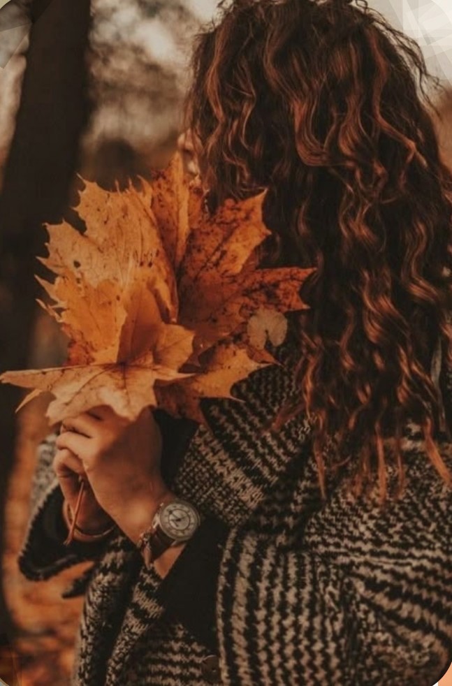 Раздарило свет, лето