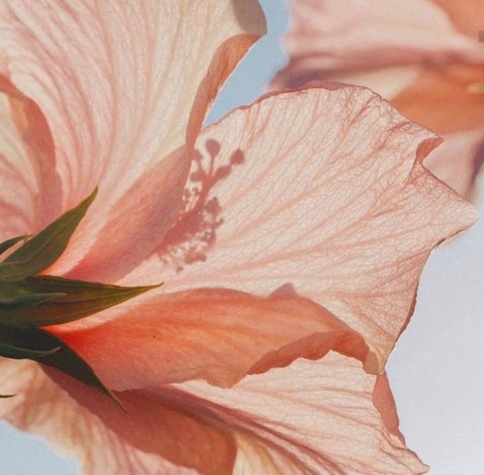 Береги тишину