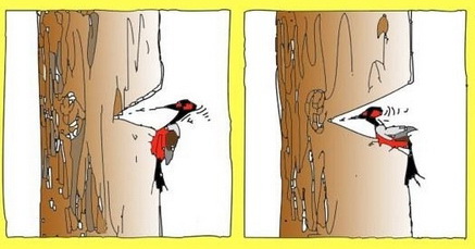 Не надоело?