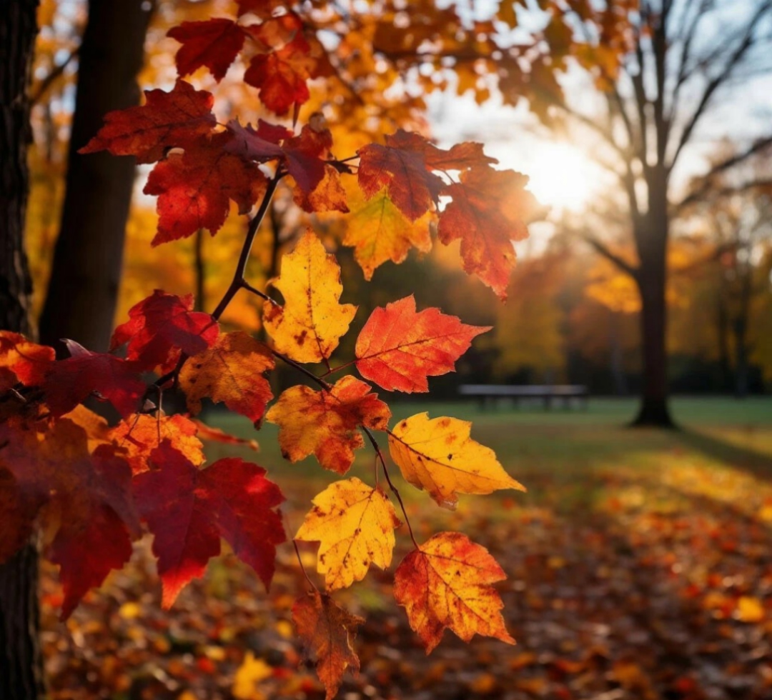 Осенний час