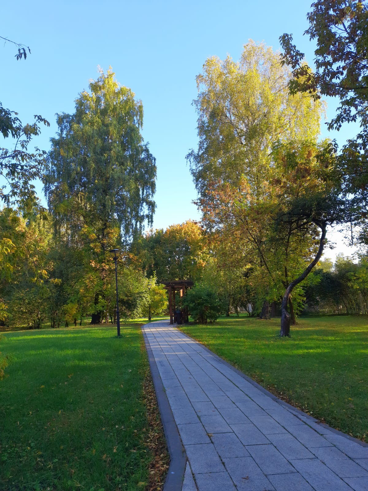 Искрится иней, где блестели росы...