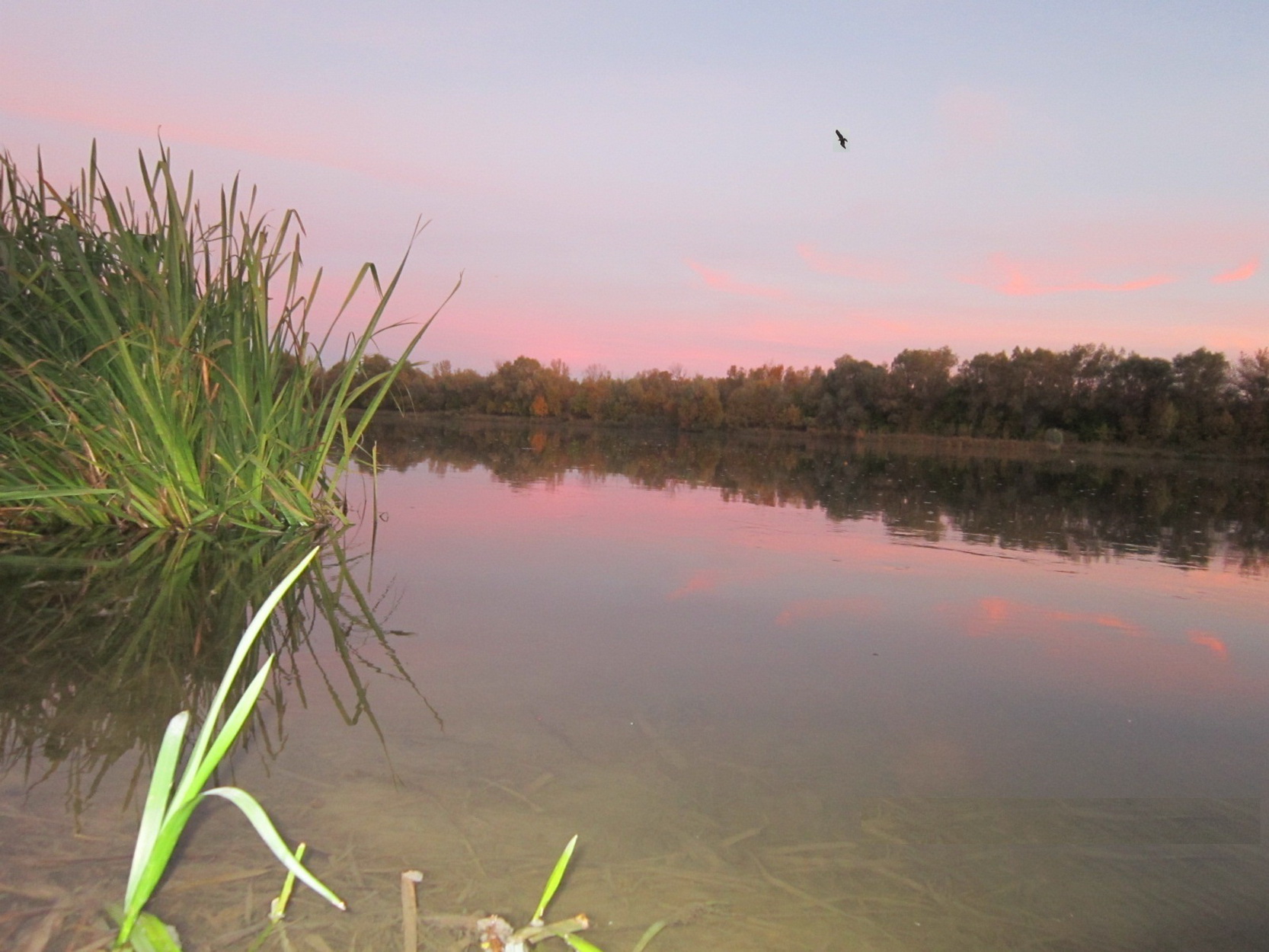 Октябрь с морозом на Дон к казакам явился
