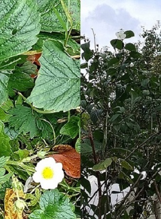 Октябрь зашел