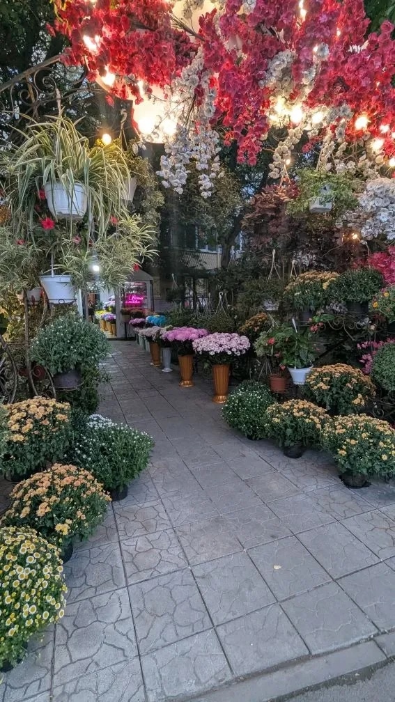 Ты жди меня и я вернусь