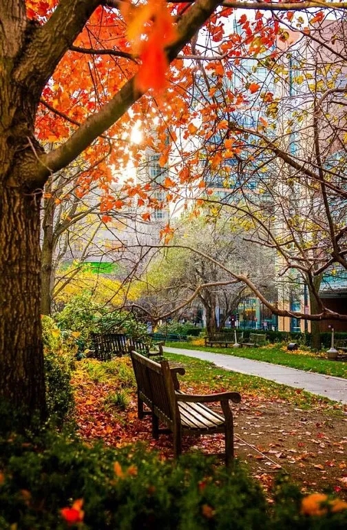 Осенняя дискотека