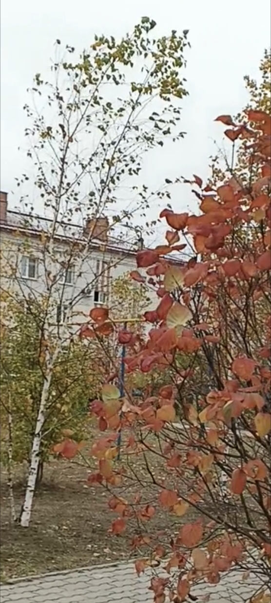 Тихий городок