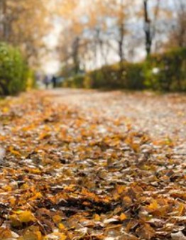 Ветер шепчет молитву