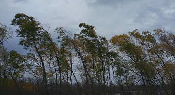 Разобрался ветер