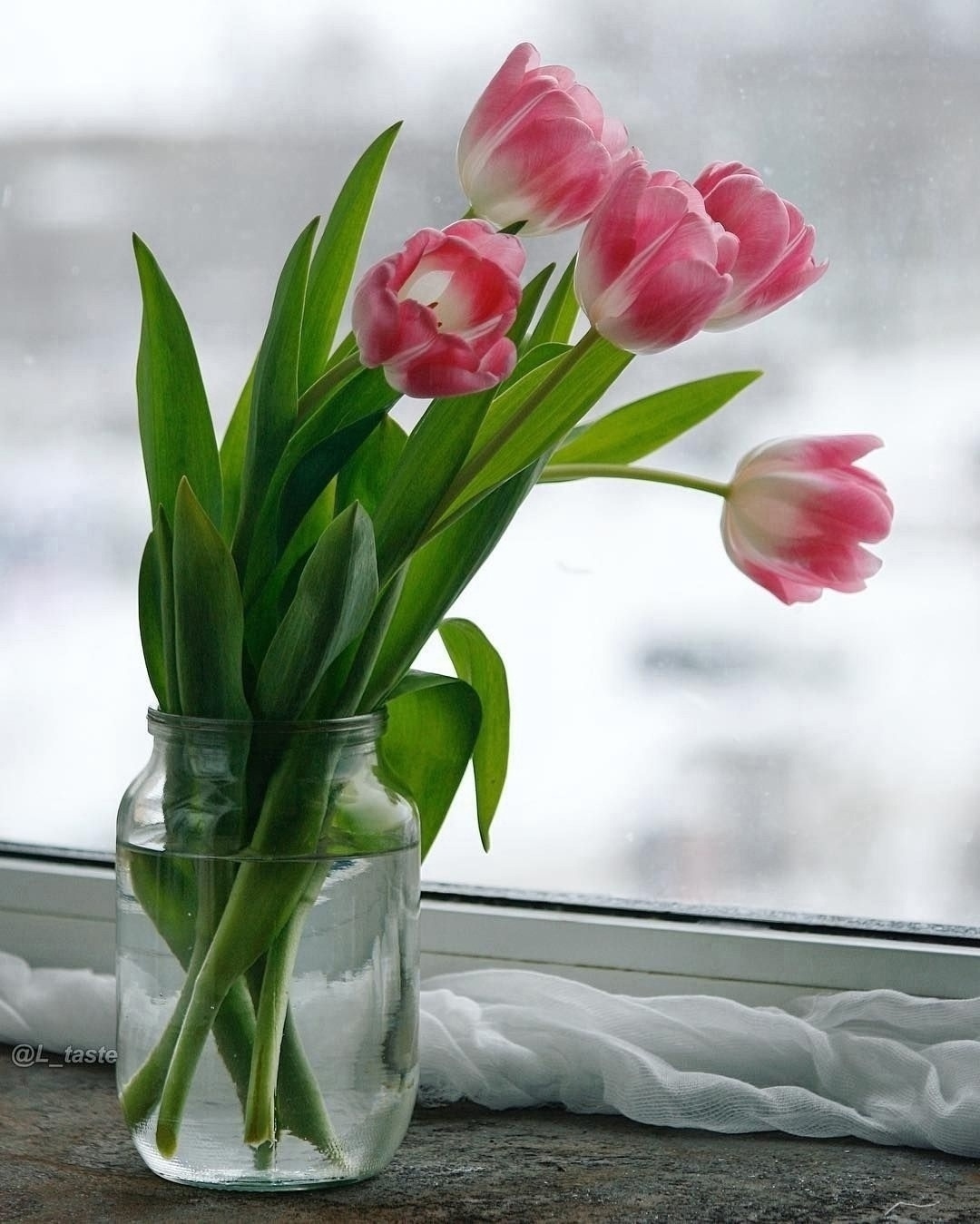 Что за цветок такой, что всем нравится