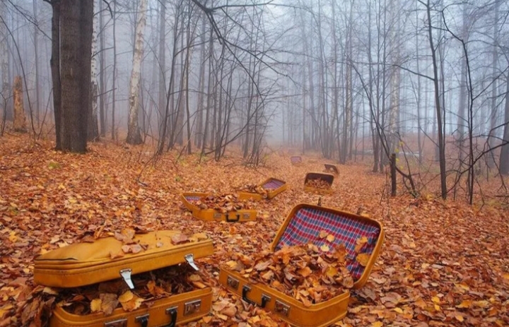 Сентябрь чемодан собрал