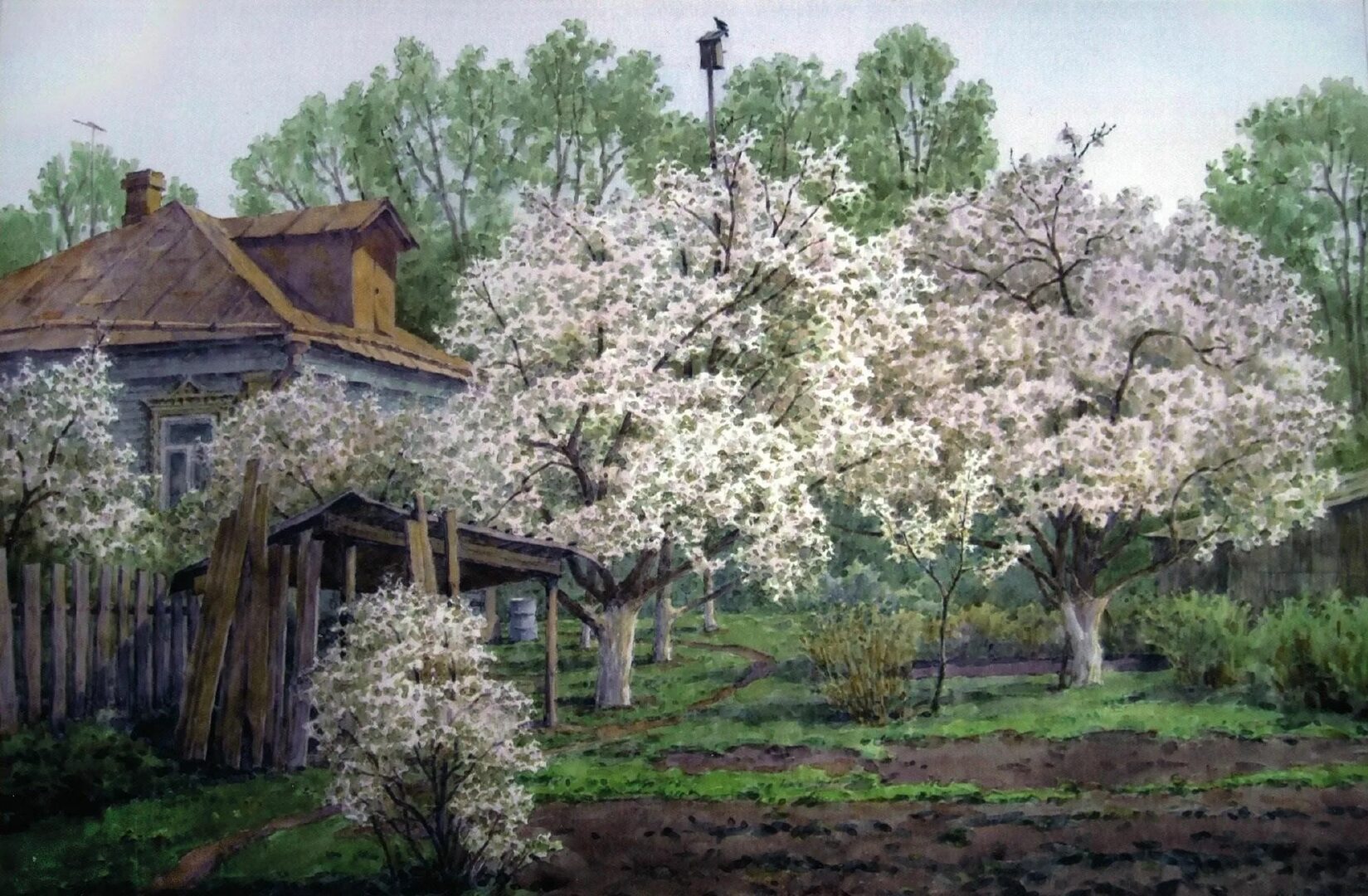 Словно белое стадо овечек