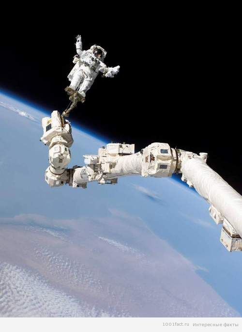 Законы часть 13