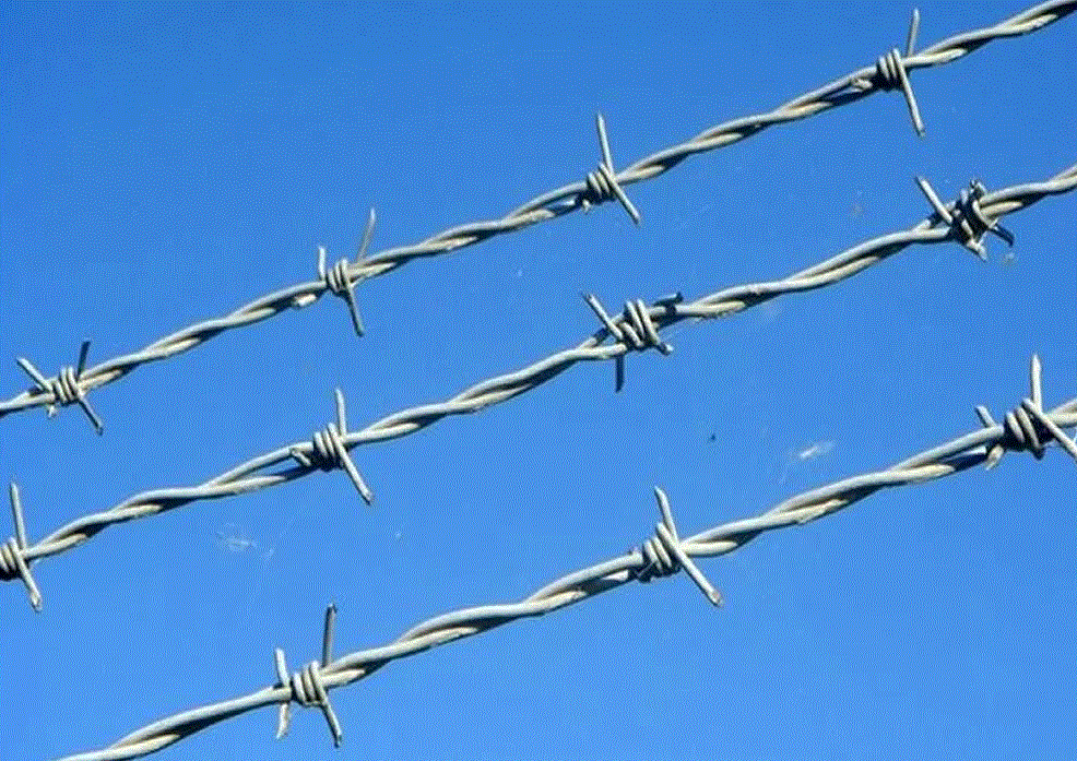 Ты должен соответствовать...