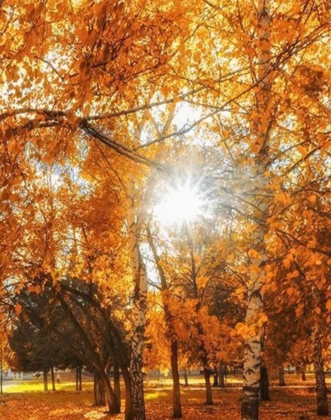 Что судьбой дано