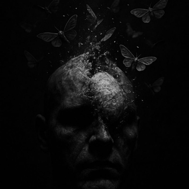 Мой метаморфоз