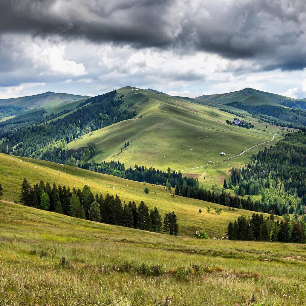 Песнь песне