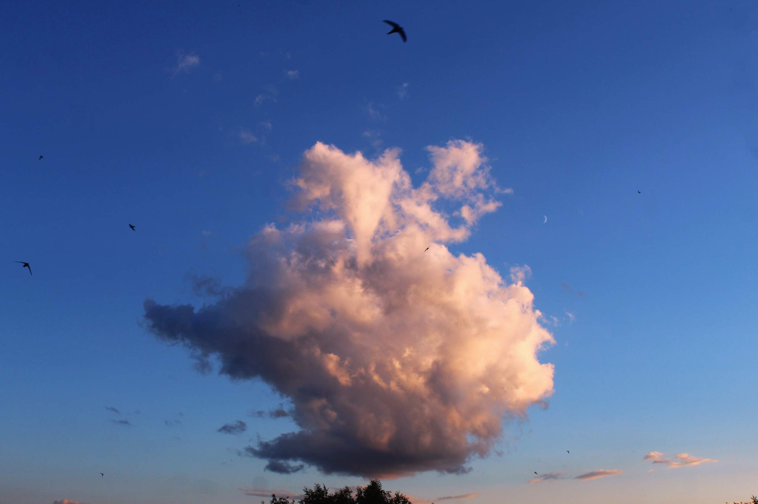 Подобно облакам