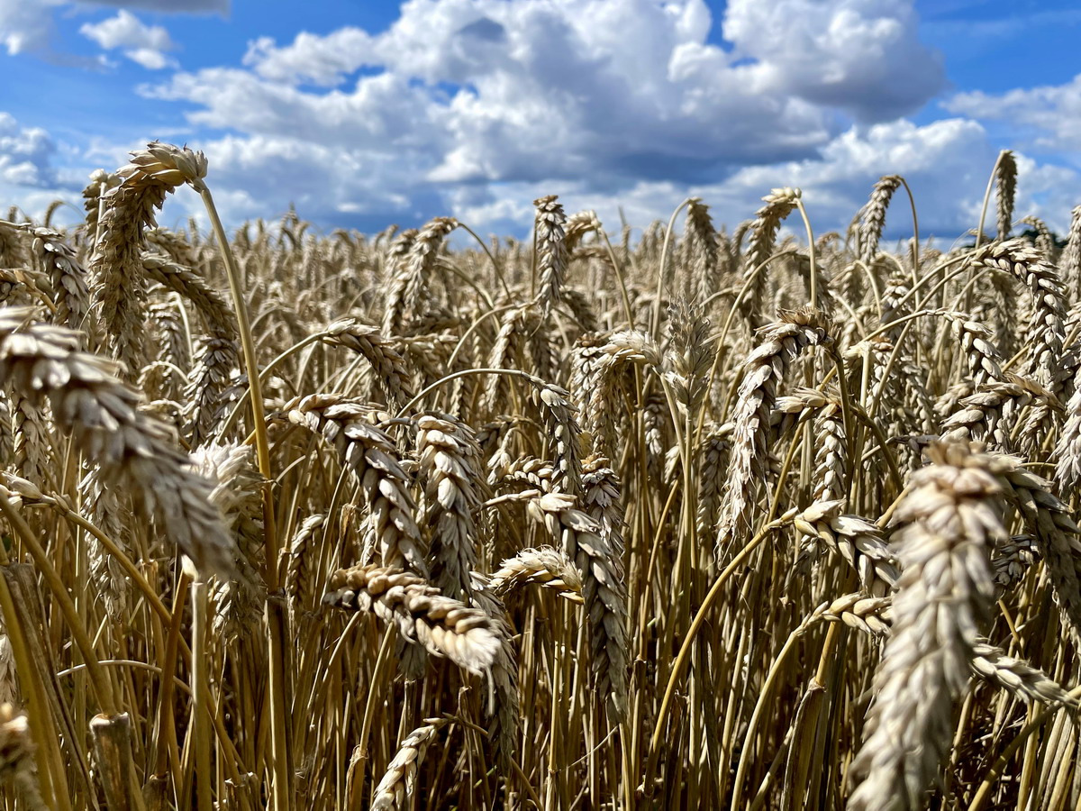 Многоточие... - 2025, сентябрь