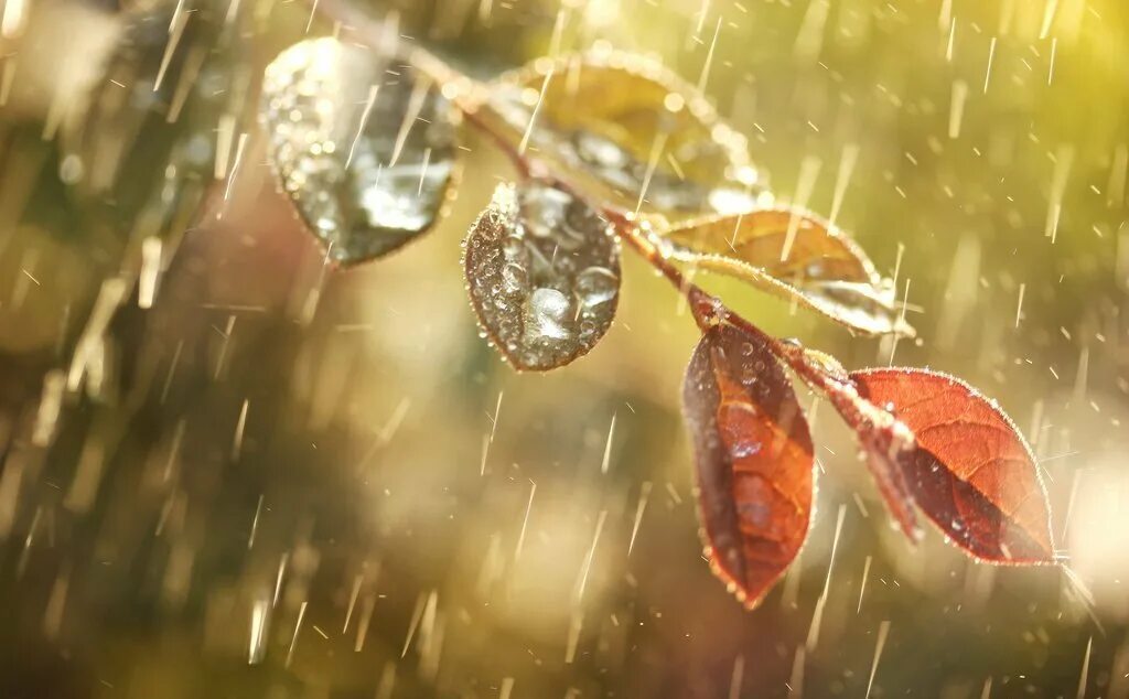 Добреньким