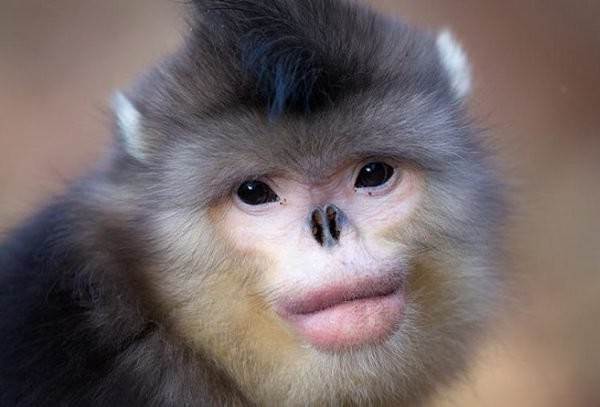 Законы часть 16