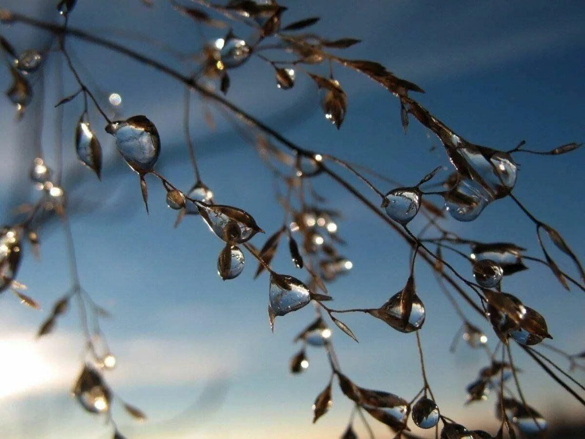 Тает снег, капель стучит