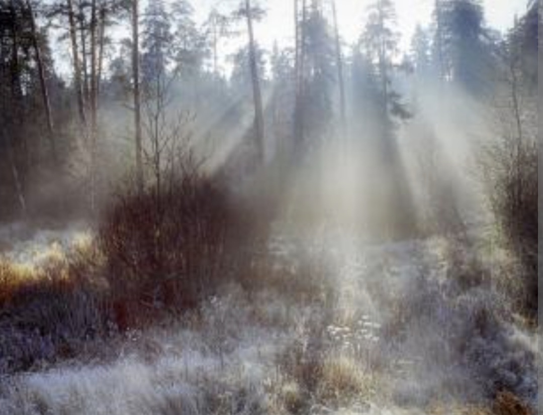 Холодный свет утра 04. октября 2025г