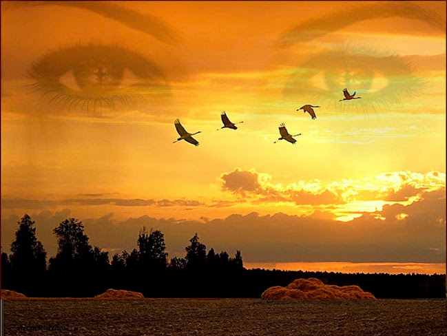 Прощание с журавлями