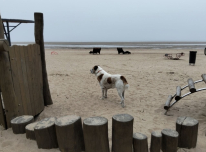 04 листопада Кондрат и Игнат