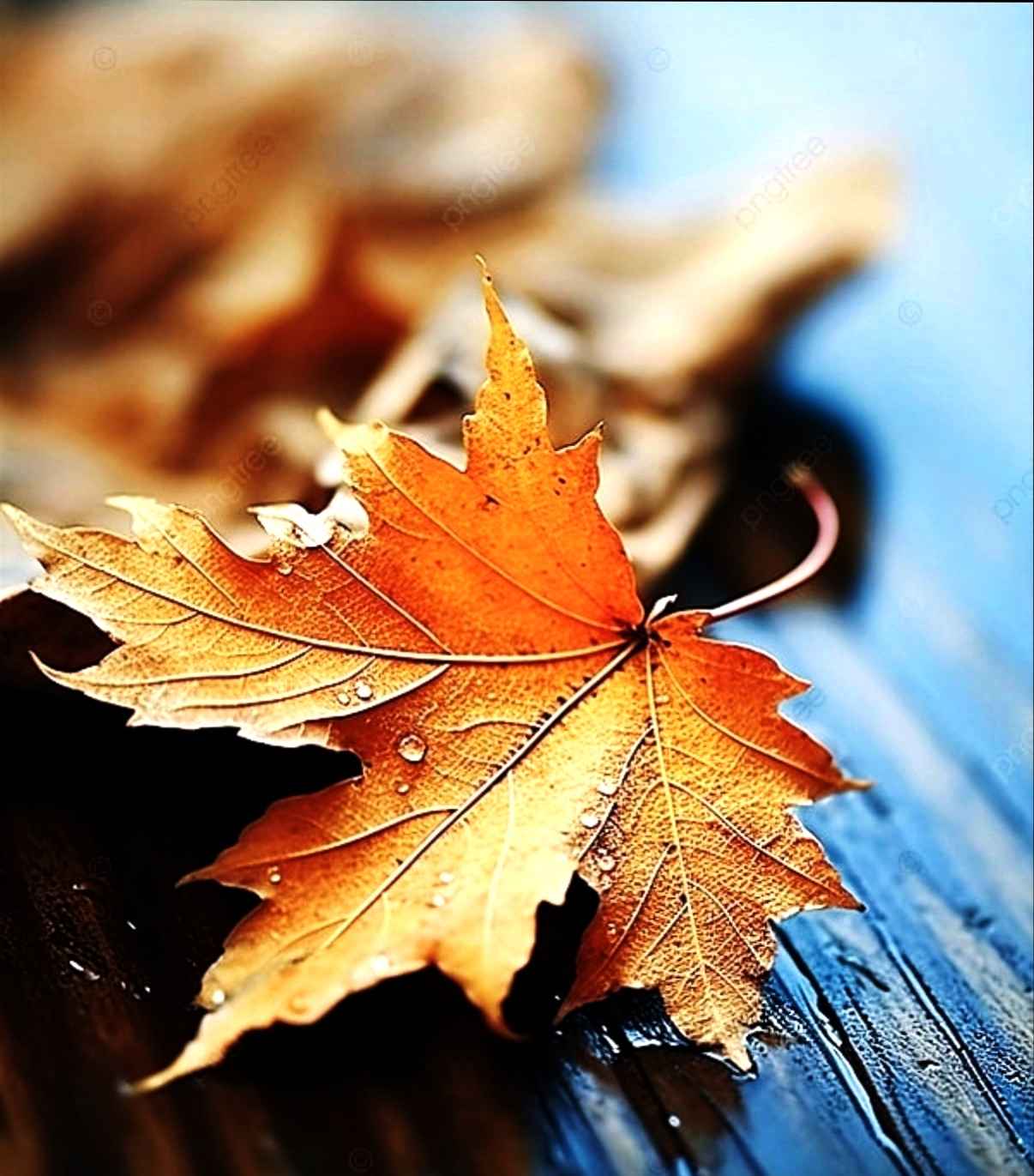 Ах, осень, ты неповторима