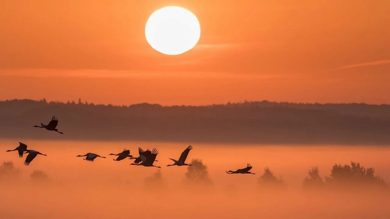 Прощай, златокудрый сентябрь...