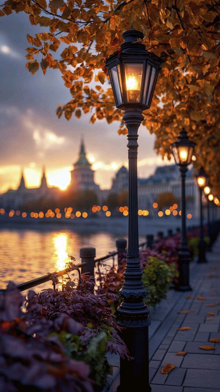 Багрянец листьев догорел...