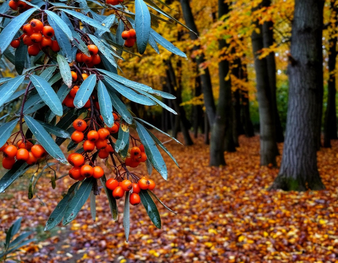 Еще вчера был странно тих