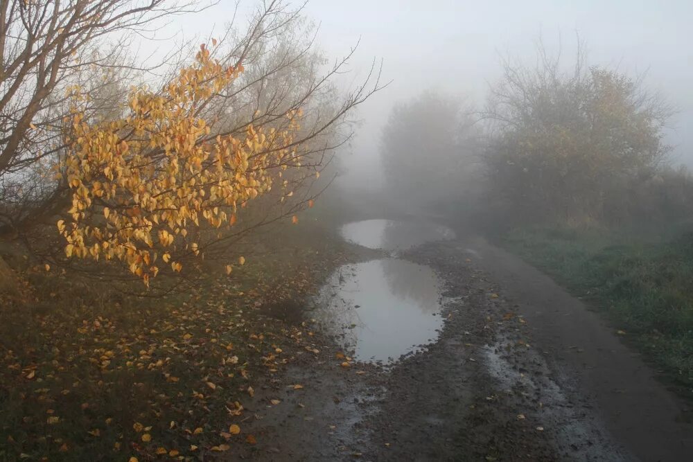 Ненастный день