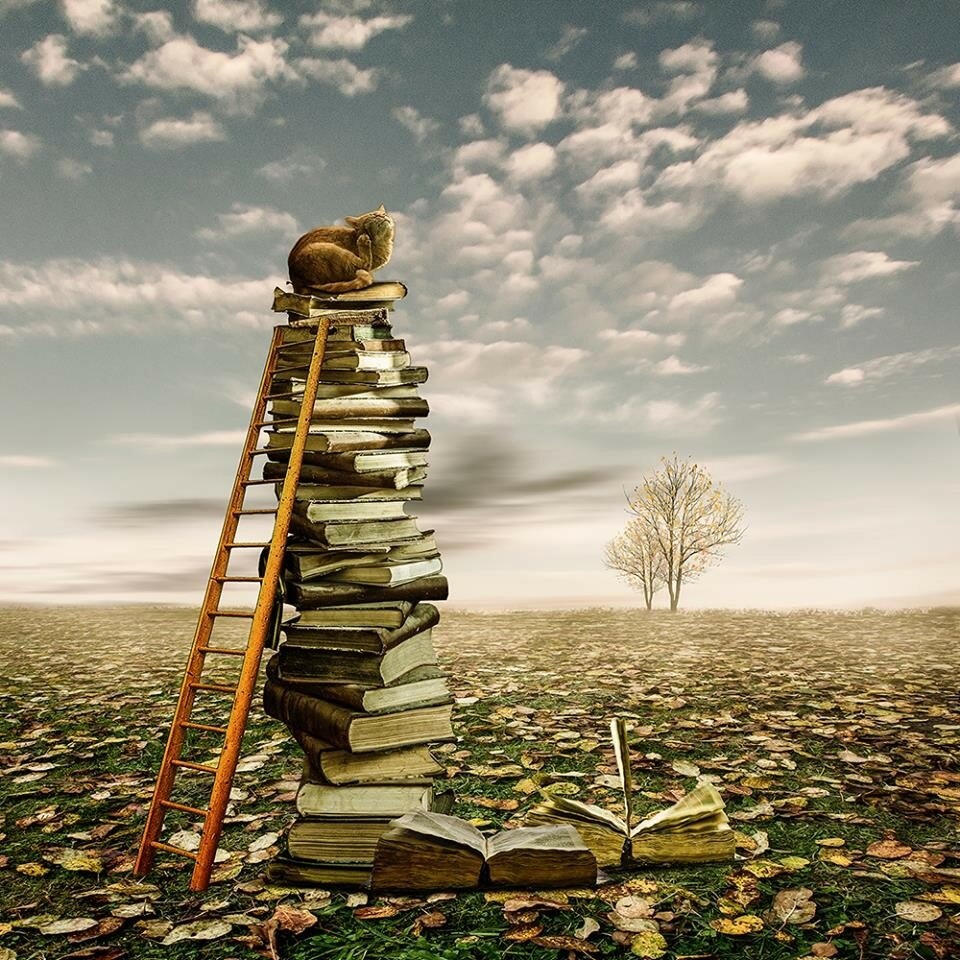 Без-конечные прогулки 49 лист 5 роман-коллаж