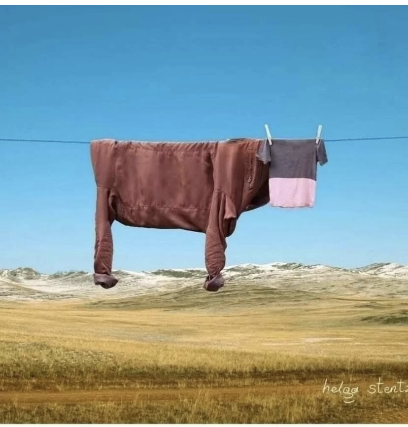 Воздушная Бурёнка. Ст. для обучения диалогов. речи