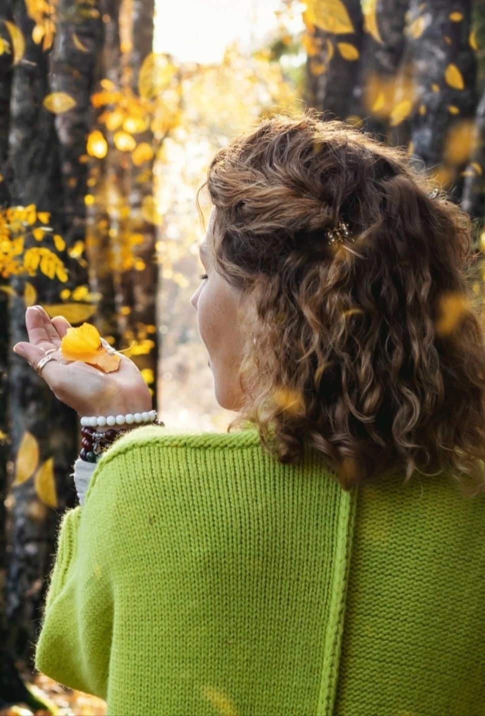 Мудрость Осени