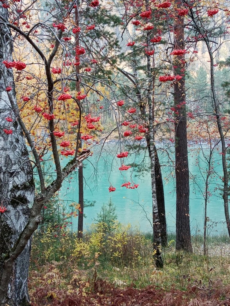 Не хочу и не буду