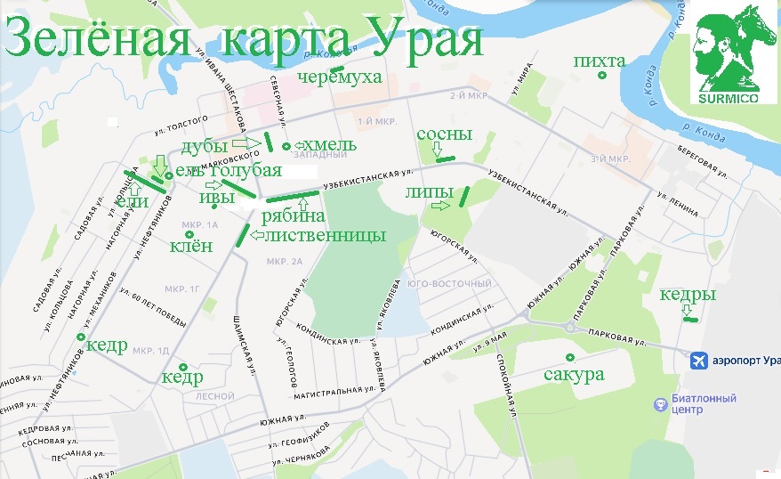 Зелёная Карта Урая