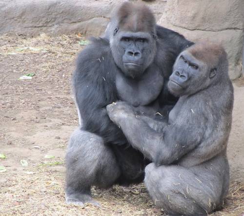 Законы часть 23