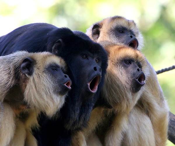 Законы часть 24