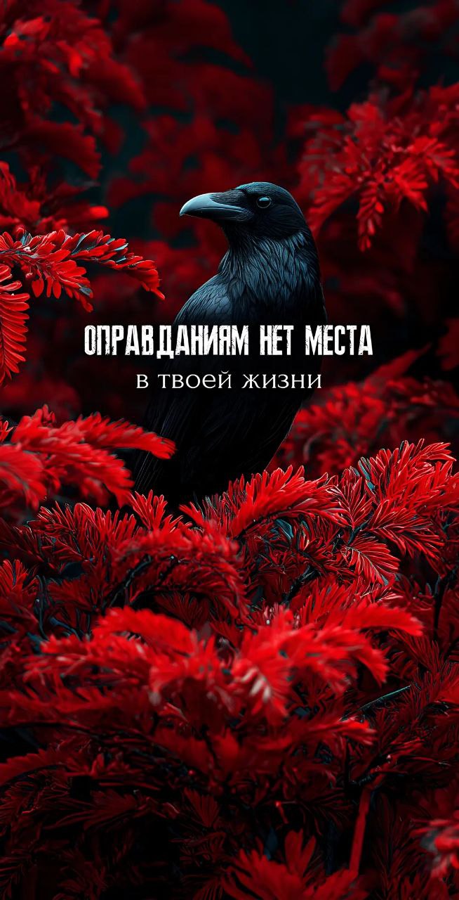 Адаптация - Период полураспада