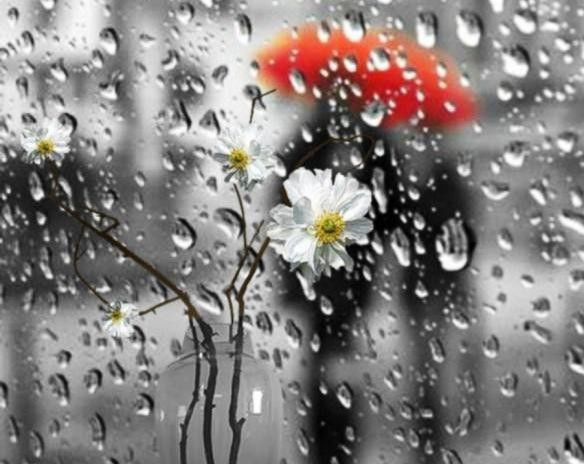 Хмурое утро - душе не помеха