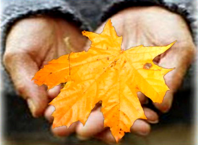 Листик желтый...