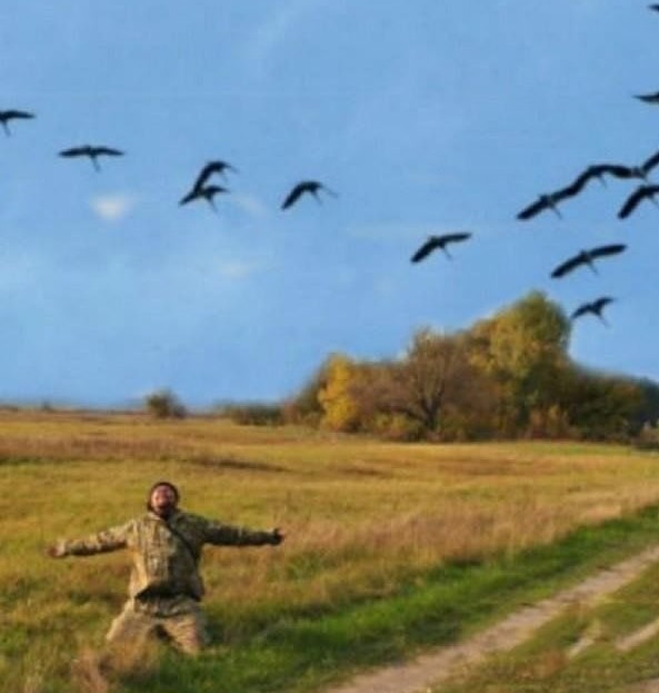 Отгуляло последнее лето